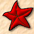 Seestern