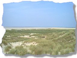 Blick in die Dünen