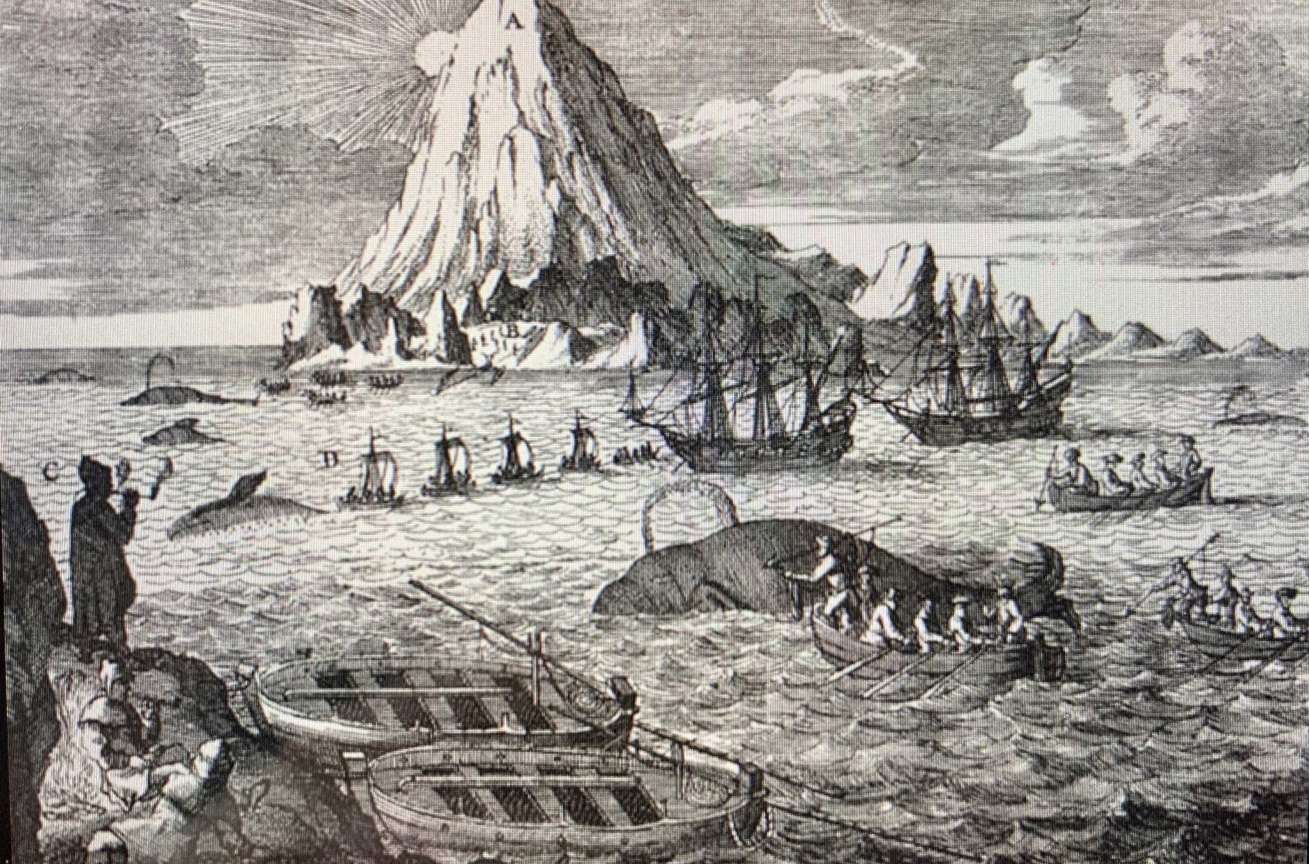 Walfang - Bilder aus dem Buch "Borkum anno 1777 Das Todesjahr"